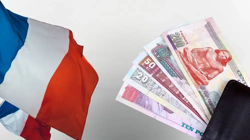 أسعار الترجمة الفرنسي في روزيتا