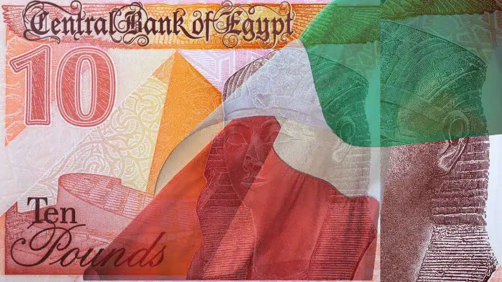 تكلفة الترجمة في روزيتا شركة ترجمة معتمدة